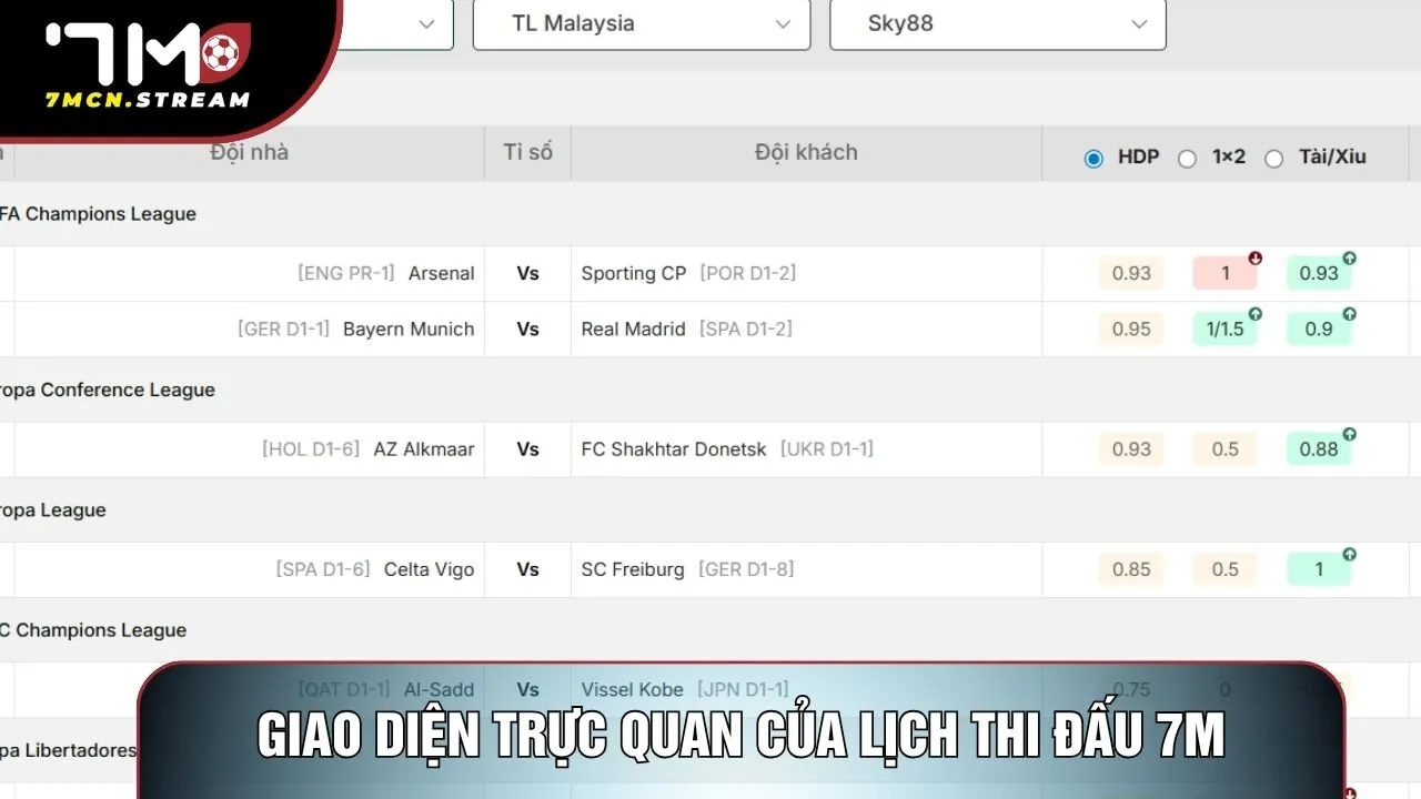 Giao diện trực quan của lịch thi đấu 7M
